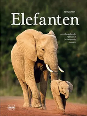 Image de Elefanten
