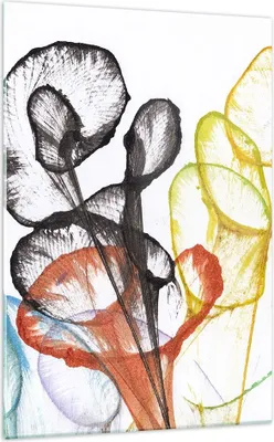 Produktbild von Bilder auf glas - Einteilig - Blumen Abstraktion Surrealismus - 70x100cm - Glasbilder - Wandbilder - Bilder - Wanddekoration aus Glas - Glas Bilder - Wandbild auf Glas - GPA70x100-4444