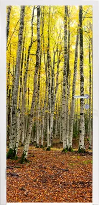 Produktbild von MuchoWow® Türtapete Selbstklebende Türfolie Wald - Bäume - Gelb 95x235 cm Türposter Türaufkleber Klebefolie Türklebefolie - XXL-Poster - Türtapeten - Türplakaten