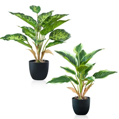 Produktbild von Set von 2 Kunstpflanzen - Monstera Kunstpflanze im Topf für Innenräume