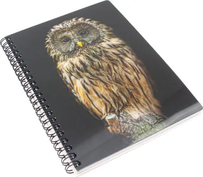 Produktbild von 3D Notizbuch - Waldkauz - groß