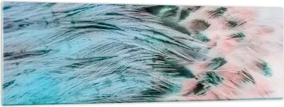 Produktbild von Bilder auf glas - Federn Federn Vogel - 160x50cm - Glasbilder - Wandbilder - Kunstdruck - zum Aufhängen bereit - Wanddekoration aus Glas - Glas Bilder - Wandbild auf Glas - Einteilig - GAB160x50-3742