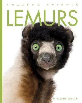 Produktbild von Lemurs