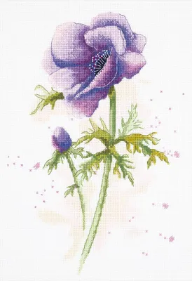 Produktbild von Panna Kreuzstichset "Anemone" 20x29cm, Zählmuster