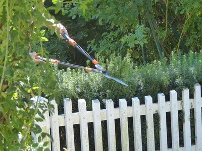 Image de Sécateur à trois lames - Lame télescopique et réglable pour un jardinage agréable