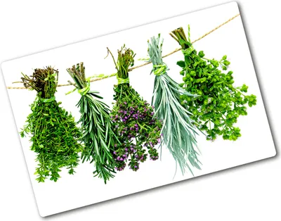 Produktbild von Tulup Glas Herdabdeckplatte - 80x52 cm - Glaskeramikkochfeld-Abdeckung Spritzschutz Glasabdeckplatte - Einteilig - Essen & Getränke - Kräuter Schnur - Grün