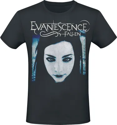 Produktbild von Evanescence T-Shirt Herren Fallen schwarz XL