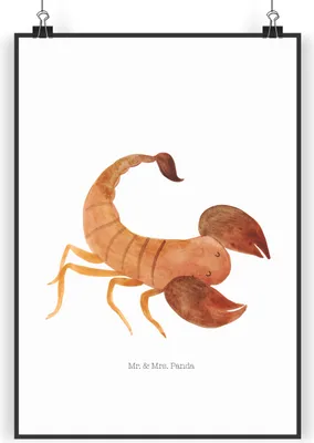 Produktbild von Mr. & Mrs. Panda Bild Sternzeichen Skorpion DIN A5 - Weiß - Geschenk, Skorpione, Plakat, kunstdruck poster, Wandbild, Oktober, Geburtstag, November, wanddeko, drucke