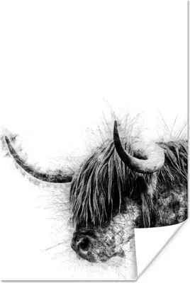 Produktbild von MuchoWow® Poster Schottisches Hochlandrind - Schwarz - Weiß - Abstrakt 20x30 cm - Papierdruck
