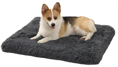 Productafbeelding van Hondenbed, zacht, donkergrijs, 50x40 cm, wasbaar, antislip