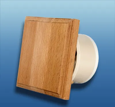 Image de Ventilateur de sauna WOOD Q Ø 100 : Modèle sans clapet anti-retour