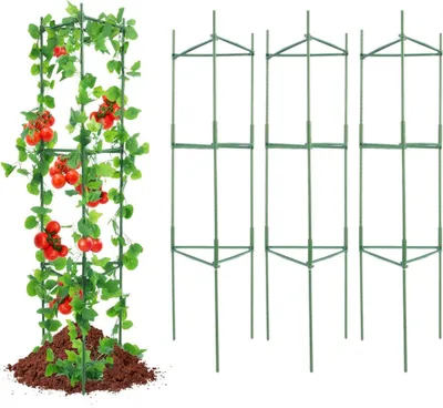 Image de Support pour plantes grimpantes Support pour fleurs pour tomates Lot de 6 supports pour plantes 122 cm Cage stable pour plantes de jardin