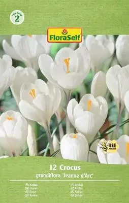 Obrázek produktu pro Krokusy FloraSelf 'Jeanne d'Arc' 12 ks