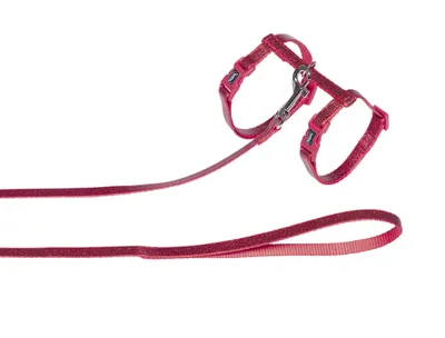 Produktbild von Nobby Katzengarnitur "Glamour" rot