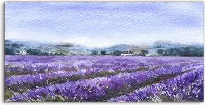 Produktbild von Coloray - Glasbild - 120x60 cm - Wandbild - Glasbilder - Foto groß Landschaft mit Lavendelfeld