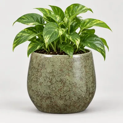 Produktbild von Mica Decorations Pflanzentopf - Terrakotta - grun - 19 x 17 cm