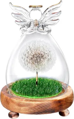Produktbild von Engel-Pusteblume im Glas, Geschenk für Frauen, Muttertag, Geburtstag