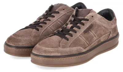 Productafbeelding van Bullboxer heren lage sneakers, taupekleur, leer, maat: 42