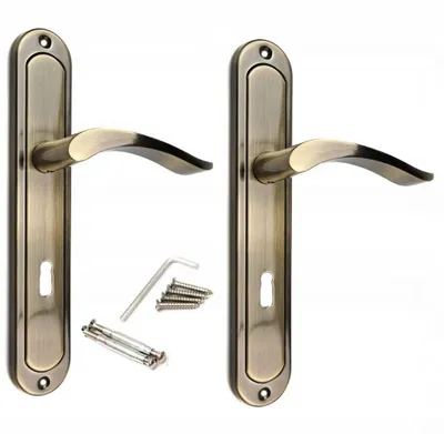 Two door handles with mounting hardware on a white background.