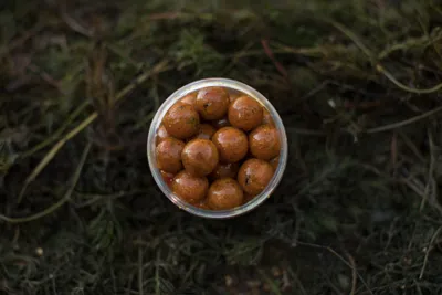 Image de LK Baits boilie v dipu Fresh Boilie Restart Ice Vanilla 250ml 47030427