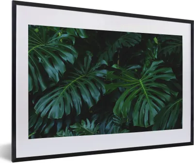 Produktbild von MuchoWow® Gerahmtes Poster Dschungel - Laub - Grün 60x40 cm - Poster mit Schwarzem Bilderrahmen Wandposter Rahmen Foto Bilder - Schlafzimmer - Plakat in Rahmen - Drucken