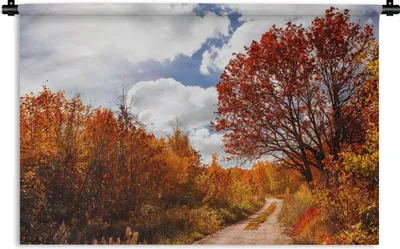 Produktbild von MuchoWow® Wandteppich Wandbehang Baum - Weg - Herbst 90x60 cm Tapisserie Dekoration Wandtuch - Wandskulpturen - Bildteppich