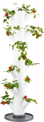 Obrázek produktu pro Gusta Garden SISSI STRAWBERRY classic samozavlažovací truhlík 6 pater, bílý