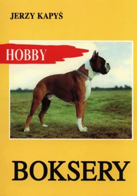 Image de Kapys, J: Boksery