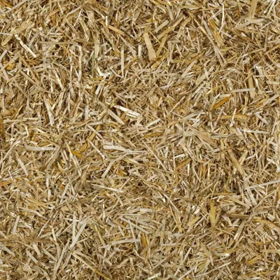 Obrázok produktu pre Stroop pre kone - 13 kg, prírodná výplň