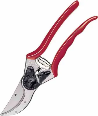 A pair of red-handled pruning shears on a white background.