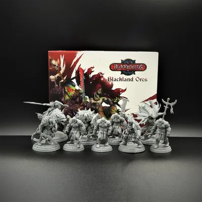 Zdjęcie produktu dla Zestaw startowy Bloodfields Blackland Orcs – wydanie angielskie