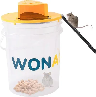 Productafbeelding van Famanu kattenluik met 4-weg draaimechanisme - geschikt voor kleine honden en katten
