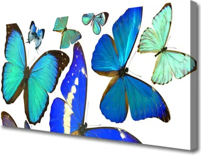 Imagen del producto de Cuadros decorativos para pared, lienzo, 100x50 cm, impresión artística, mariposas, naturaleza