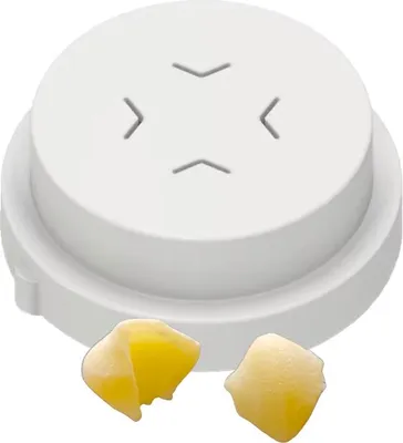 Produktbild von Matrize POM Conchigliette liscio / sehr kleine Muscheln glatt für Philips Pastamaker Avance / 7000er