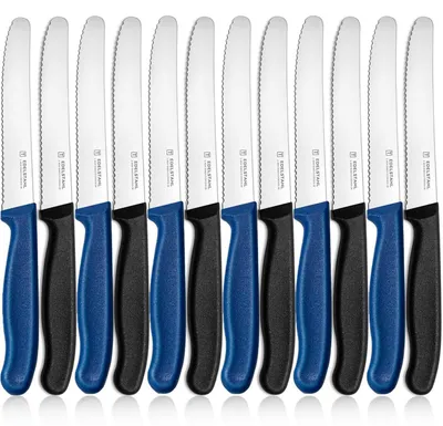 Immagine prodotto di Set di 12 coltelli da colazione, lama seghettata, acciaio inossidabile, lunghezza lama 11 cm, manico in PP, colore nero e blu