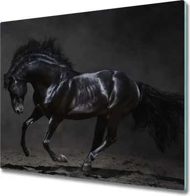 Produktbild von Glas Herdabdeckplatte 60x52 cm Spritzschutz Glasabdeckplatte Schneidebrett Schwarzes Pferd