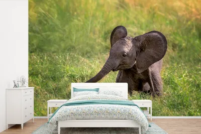 Produktbild von MuchoWow® Fototapete für Wohnzimmer oder Schlafzimmer Wandtapete Vinyl Motivtapete Elefantenbaby im Gras - 390x260 cm - Papiertapete