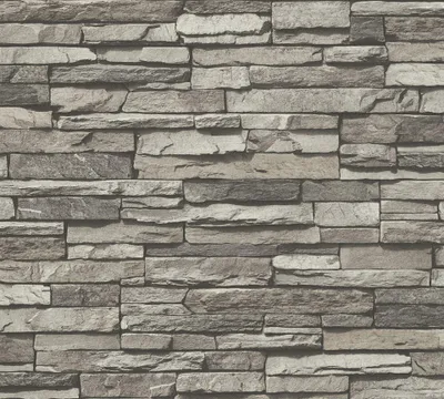 Obrázok produktu pre A.S. Création tapeta Dekora Natur 6, perleťovo biela, čiernohnedá, svetlohnedá, 10,05 m x 0,53 m, 958331, 95833-1