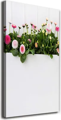 Produktbild von Tulup Leinwandbild® - 70x140cm - Wandkunst - Drucke auf Leinwand - Leinwanddruck - Wohnzimmer Wanddekoration XXL - Wohnung Deko Kunstdrucke - Blumen & Pflanzen - Rosa - Rosa Gänseblümchen