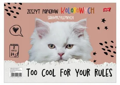 Zdjęcie produktu dla Zeszyt Papierów Kolorowych B4/8 Samoprzylepnych