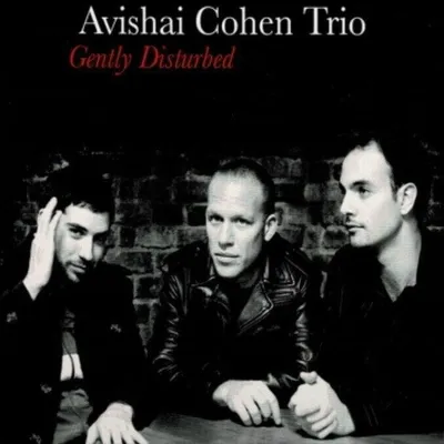 Zdjęcie produktu dla Avishai Cohen - Gently Disturbed (LP)
