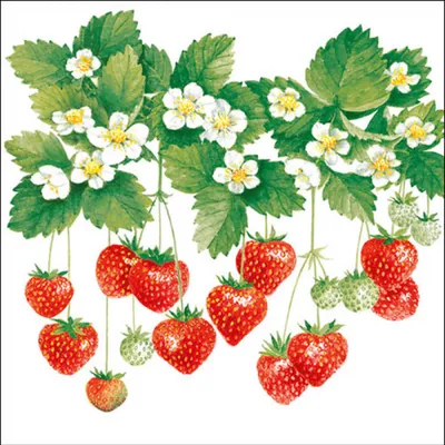 Produktbild von Servietten Papier 33x33cm 3-lagig mit Erdbeeren & Blüten Motiv 20 Stk.