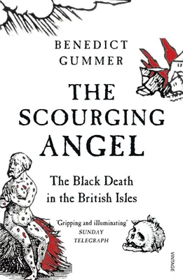 Produktbild von The Scourging Angel