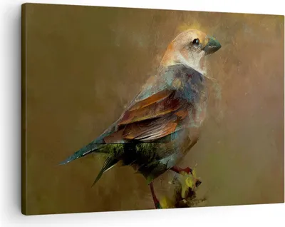 Produktbild von Bild auf Leinwand - Leinwandbild - Vogel Natur - 70x50cm - Wand Bild - Wanddeko - Wandbilder - Leinwanddruck - Bilder - Kunstdruck - Wanddekoration - Leinwand bilder - Wandkunst - AA70x50-3924