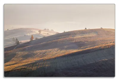 Produktbild von Wallario Frühstücksbrettchen aus Glas 20 x 30 cm mit rutschfesten Füßen, Motiv Herbstliche Felder bei Sonnenaufgang
