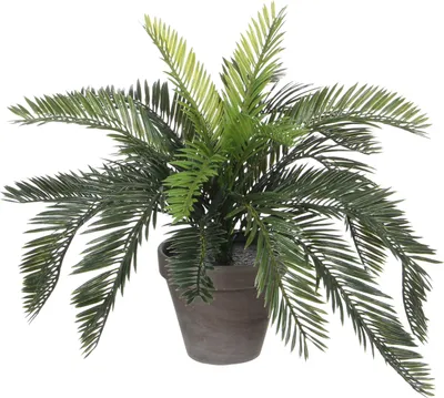 Image de Palmier artificiel Fougère Cycas Mica Decorations H 37 cm Ø 44 cm
