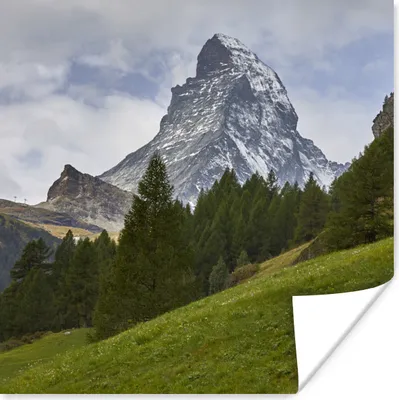 Produktbild von MuchoWow® Poster Das Schweizer Matterhorn hinter einem Tannenwald 50x50 cm - Wohnzimmerdekoration