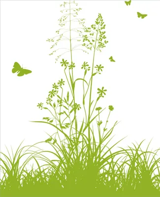 Produktbild von Wallario Magnet für Kühlschrank / Geschirrspüler, magnetisch haftende Folie - 60 x 80 cm, Motiv: Grüne Sommerwiese