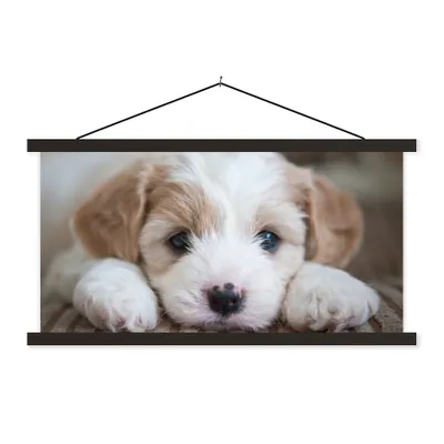 Produktbild von MuchoWow® Textilposter Nahaufnahme eines Cavachon-Welpen 60x30 cm mit schwarzem Rahmen - Textilien