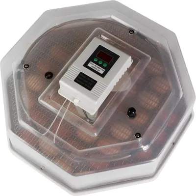 Immagine prodotto di Copia HFM Brüterei Thermo 60 - incubatrice con termostato per 60 uova Kruger Meier